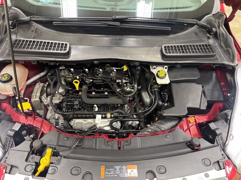 2019 Ford Escape SE