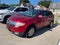 2010 Ford Edge SEL